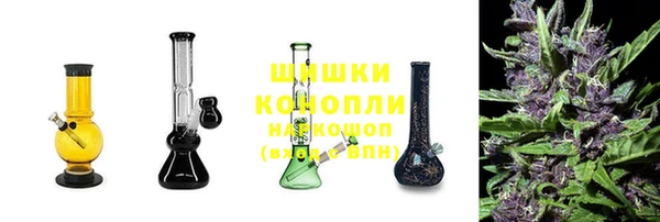 стафф Россошь
